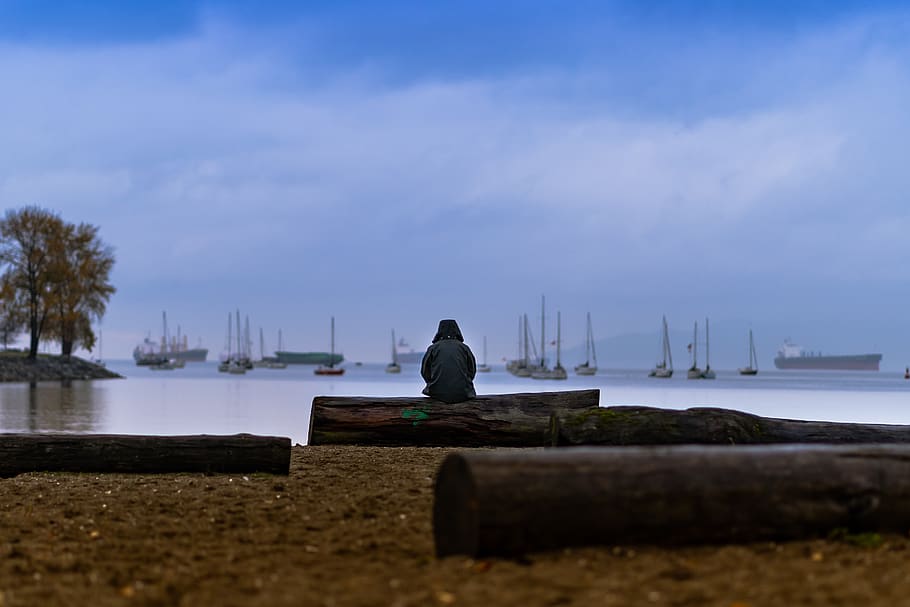 Person Sitting on Brown Wood Log, beach, dawn, daylight, evening HD wallpaper