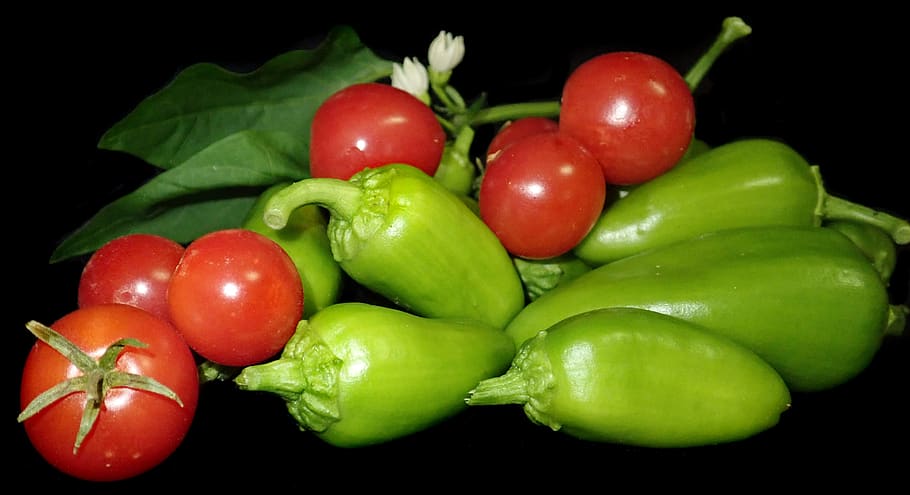 vegetables, tomatoes, small, capsicums, green, cooking, salads HD wallpaper