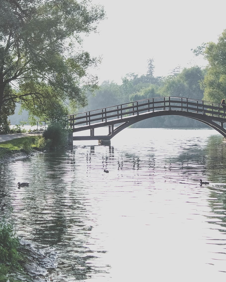 river, bridge, ducks, park, water, connection, bridge - man made structure HD wallpaper