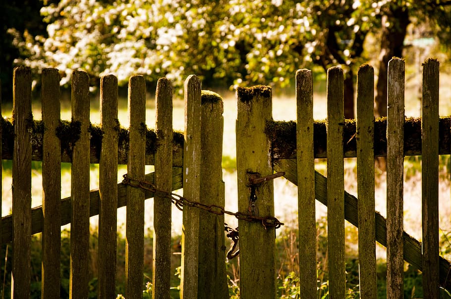 fence, garden, chain, rusted, garden fence, nature, wood, summer HD wallpaper
