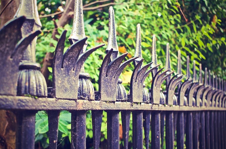 Black Metal Fence, plant, boundary, barrier, no people, day, focus on foreground HD wallpaper