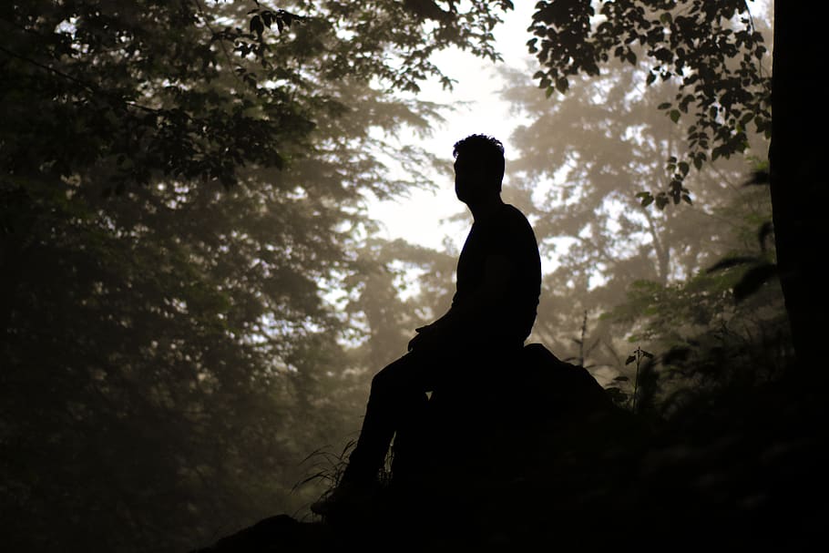 iran, nashtarud, forest, tree, plant, silhouette, one person HD wallpaper