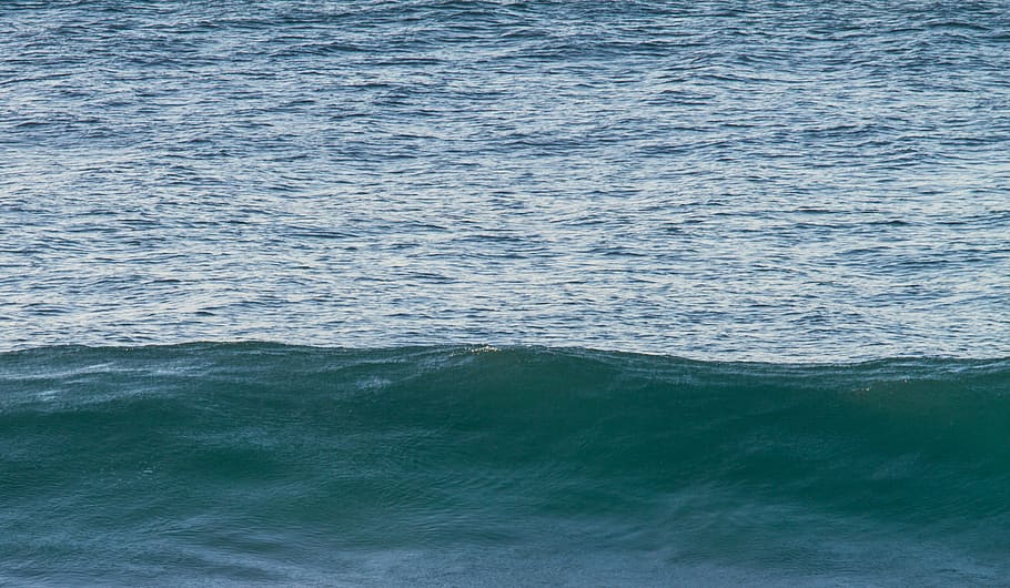 australia, narrabeen beach, ocean, wave, surf, surfing, water HD wallpaper