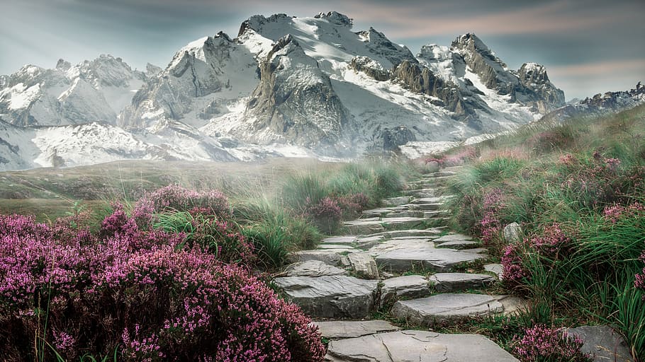 Rock in Between Grass and Flower, adventure, climb, dawn, daylight HD wallpaper