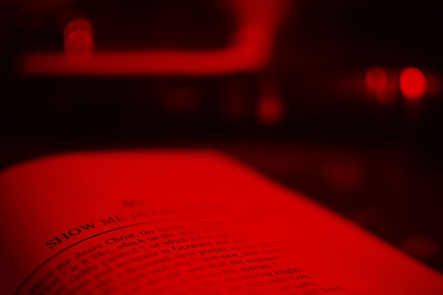 india, bhubaneswar, red, selective focus, close-up, indoors HD wallpaper
