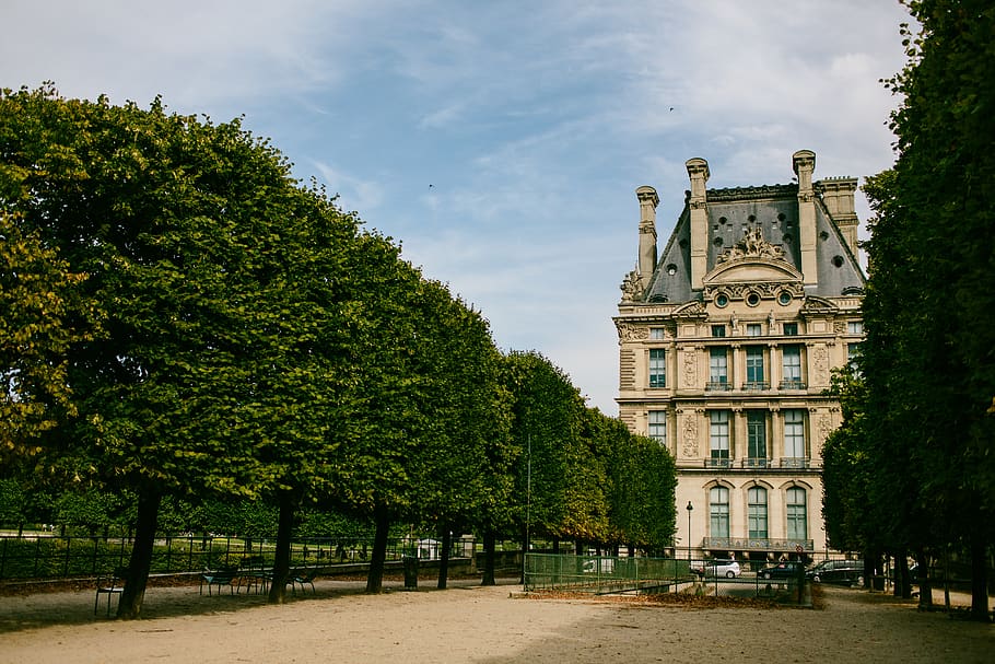 paris, france, tuileries, garden, tree, plant, architecture, HD wallpaper