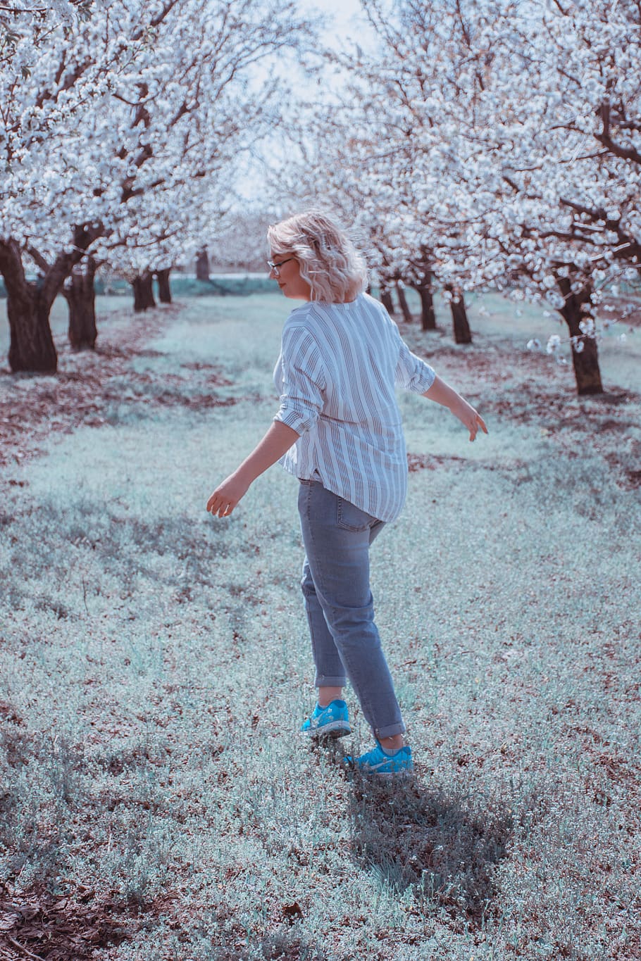 trees, forest, spring, blossoms, jeans, casual, walk, blondhair HD wallpaper