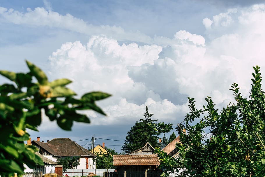 clouds, cloudy, focus, trees, built structure, cloud - sky HD wallpaper