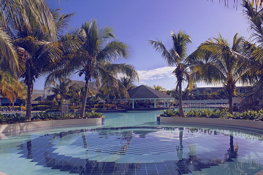 cuba, cayo santa maría, palm trees, sky, pool, vacation, resort, HD wallpaper