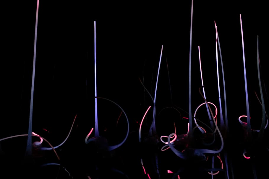 black and purple LED light, illuminated, arts culture and entertainment HD wallpaper