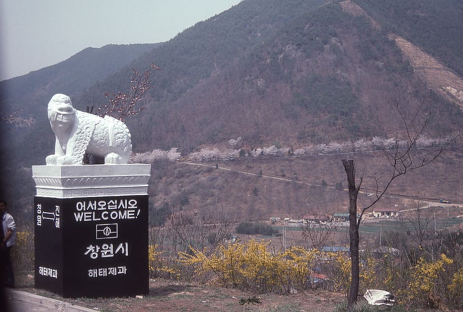 korea, jinhae, mountain, communication, text, nature, western script HD wallpaper