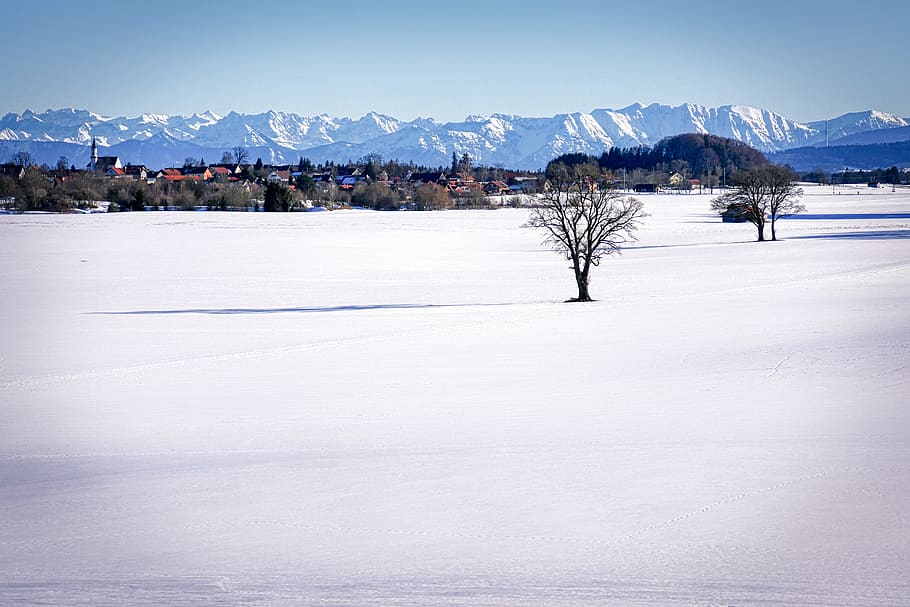 snow, field, winter, mountains, panorama, cold, nature, rural HD wallpaper