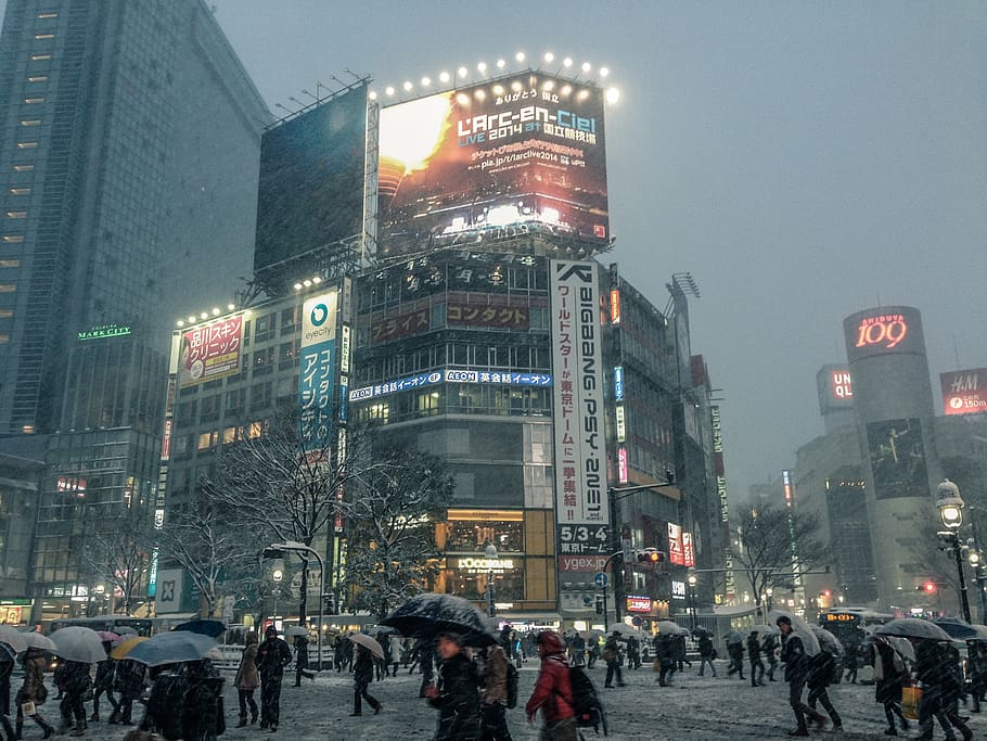 intersection, shibuya, world, travel, japan, night, dusk, weather HD wallpaper
