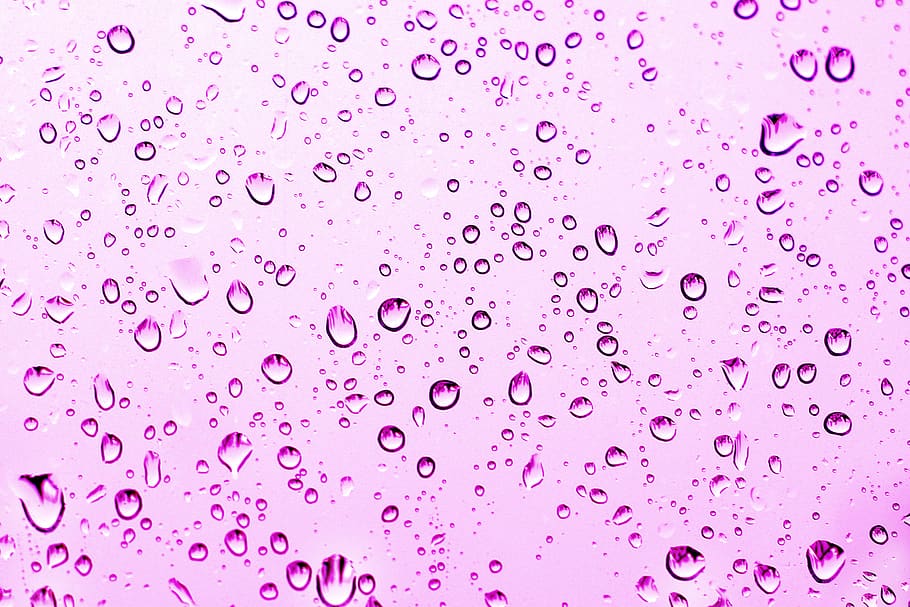 rain, drip, rainy, wet, droplets, nature, water, background HD wallpaper
