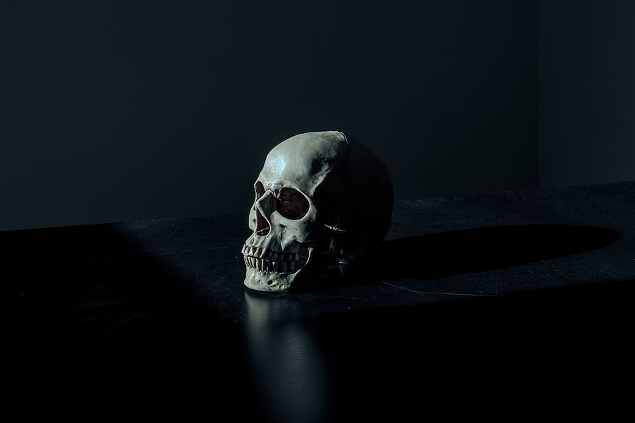 dark, skull, bone, table, reflection, human skeleton, human skull HD wallpaper