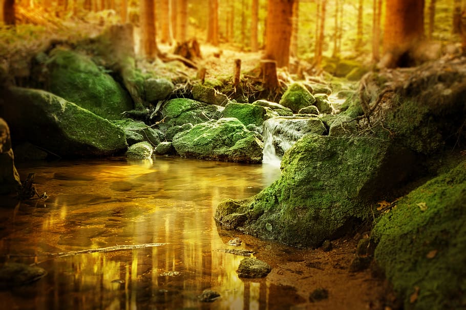 forest, waterfall, bach, rock, trees, landscape, nature, lighting HD wallpaper