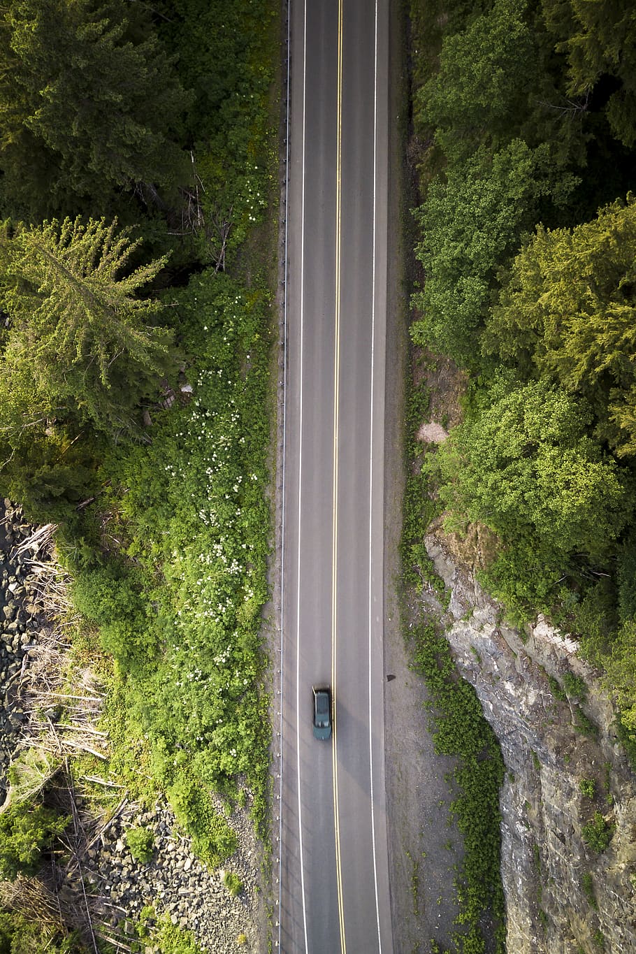 car, road, drive, forest, alaska, path, driving, plant, tree HD wallpaper