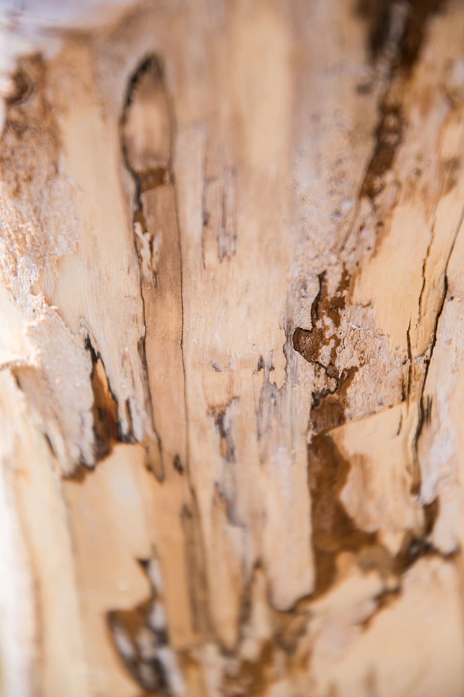 wood - material, textured, close-up, full frame, no people HD wallpaper