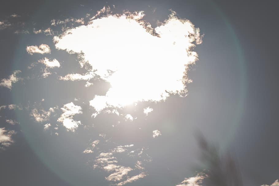 sky, bird, fly, clouds, beauty in nature, low angle view, sunlight HD wallpaper