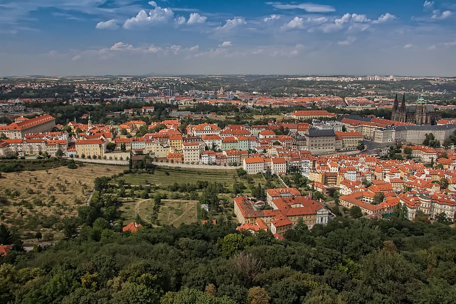 prague, czech, hradcany, view, castle, cathedral, vltava, bridge, HD wallpaper