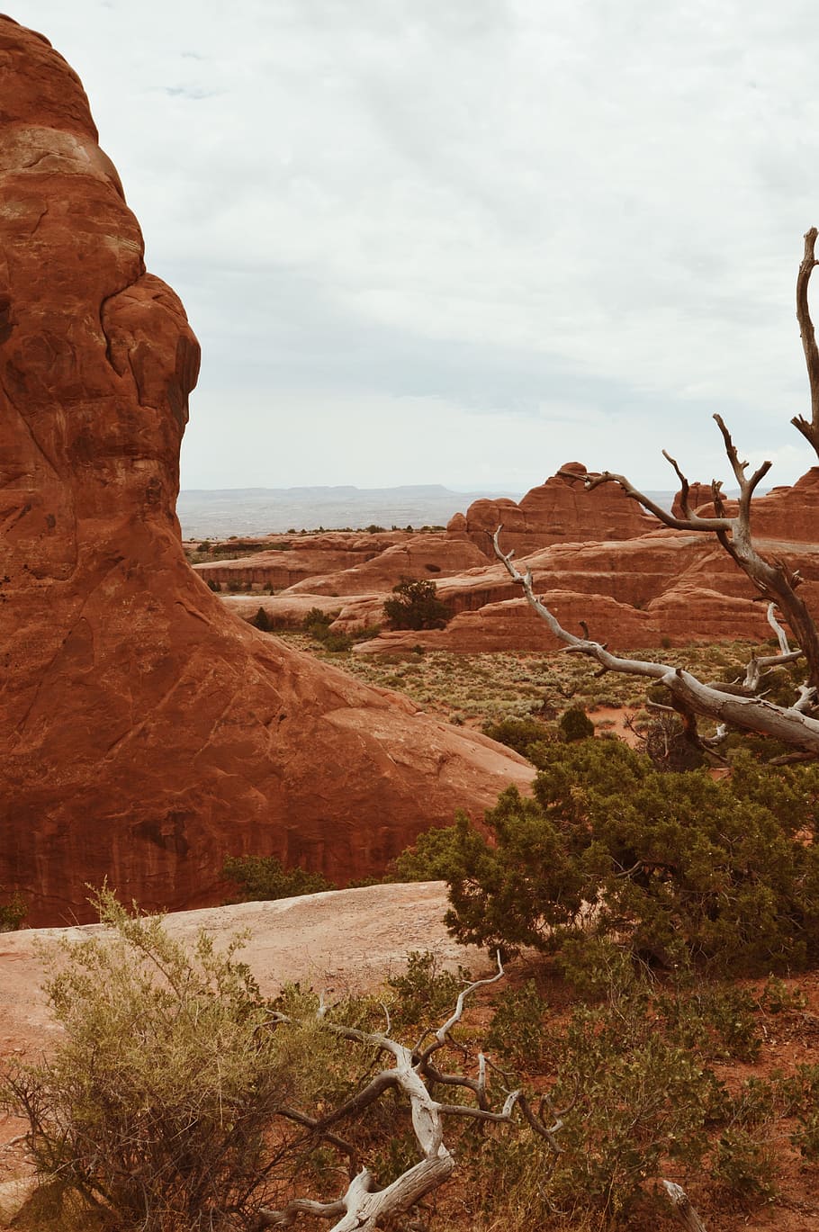 Brown Rock Formation Near Trees, arid, barren, canyon, cliff HD wallpaper