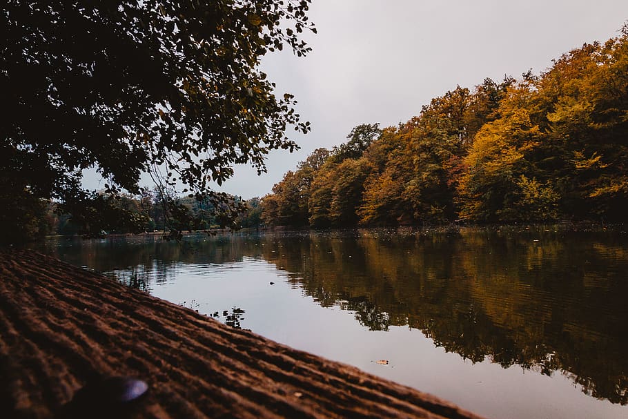 lake and trees, nature, reflection, forest, green, yellow, orange HD wallpaper