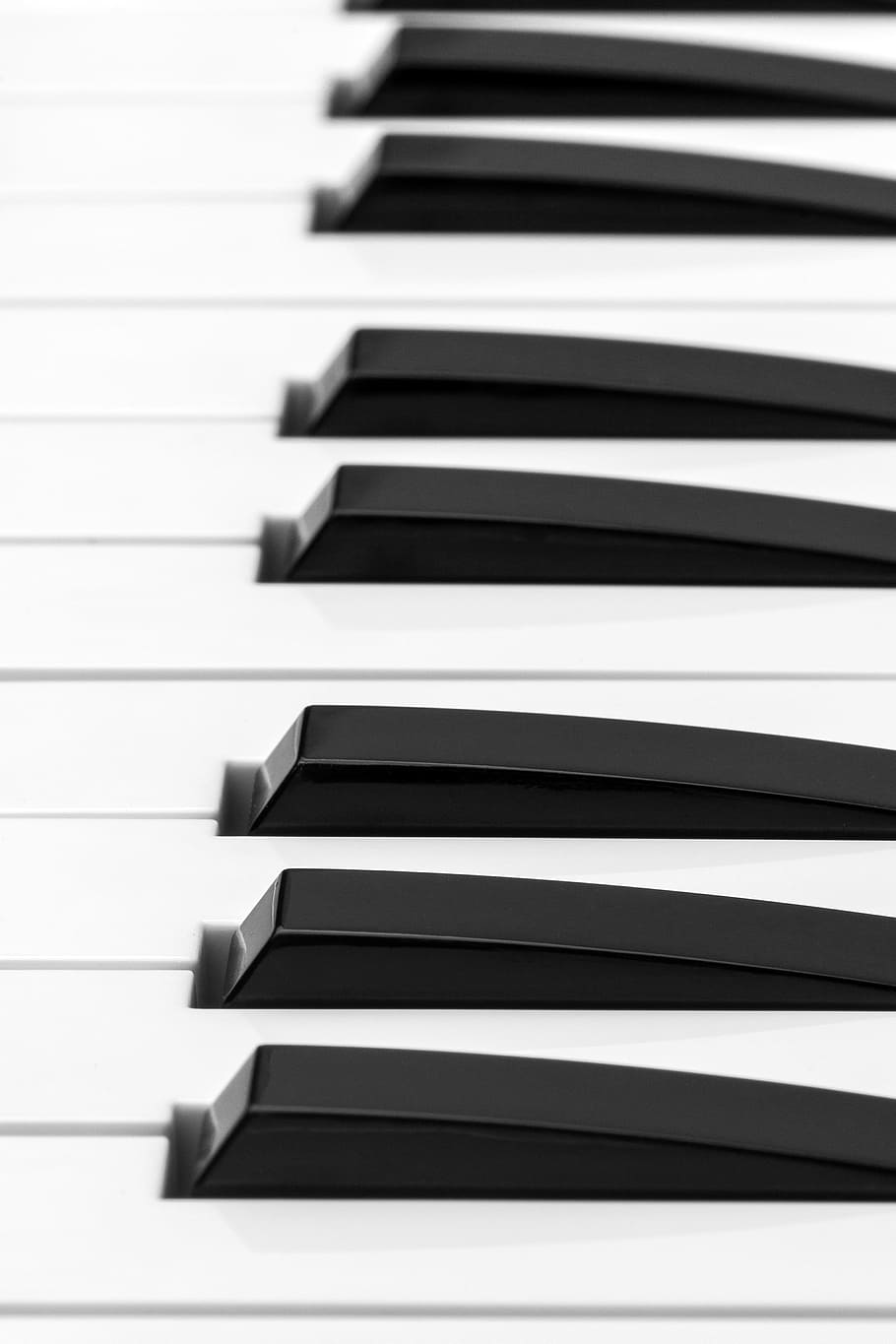White and Black Piano Keys, black and white, close-up, instrument