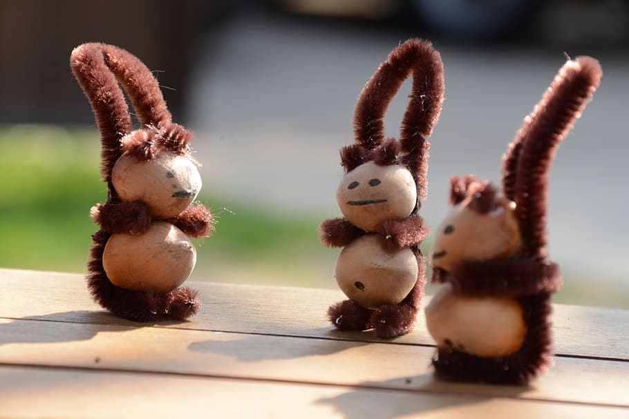 squirrels, walnut, the squirrel, animal, nature, autumn, representation HD wallpaper