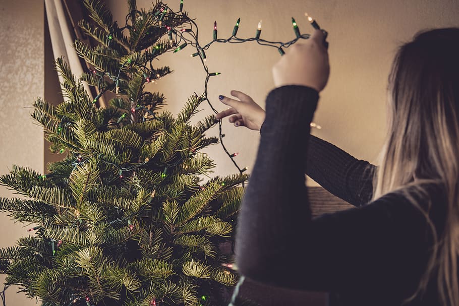 woman holding string lights, plant, tree, human, person, christmas tree HD wallpaper