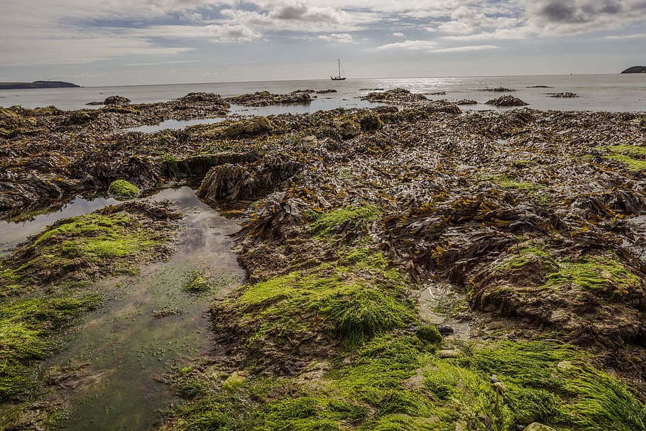 water, flow, beach, shore, sea, nature, landscape, sky, scenics - nature HD wallpaper