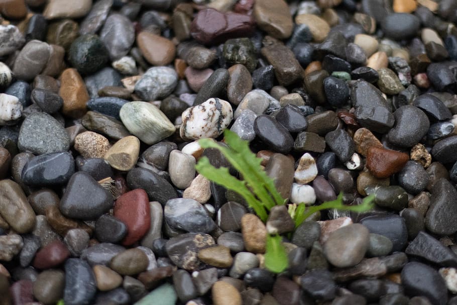 full frame, stone - object, backgrounds, pebble, large group of objects HD wallpaper