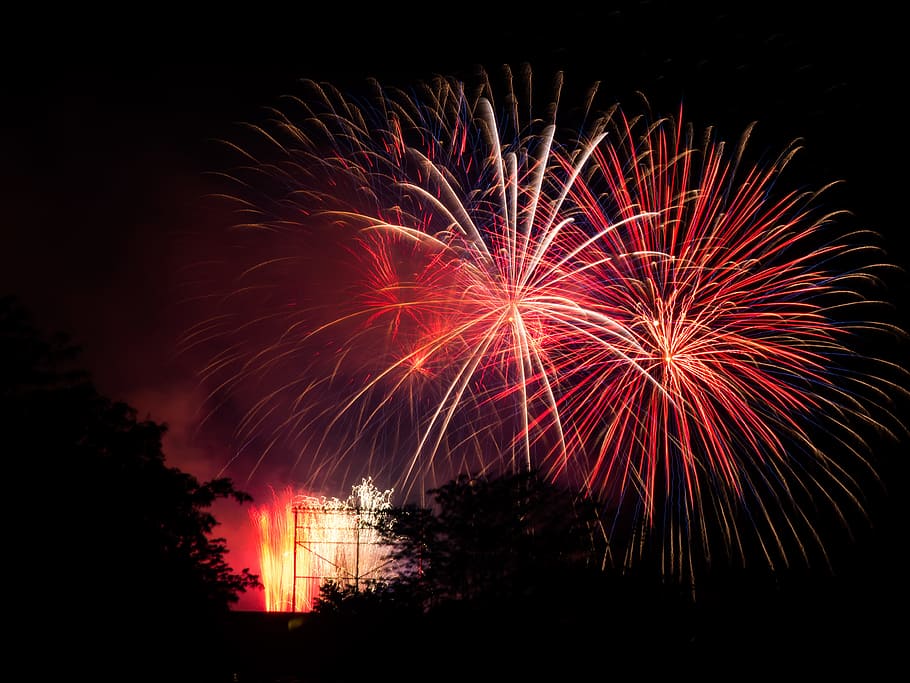 Red Fireworks, Sky, black, night, celebration, motion, firework display HD wallpaper