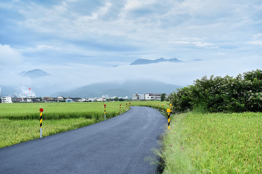 Road Surround by Green Grass, asphalt, buildings, daylight, environment HD wallpaper