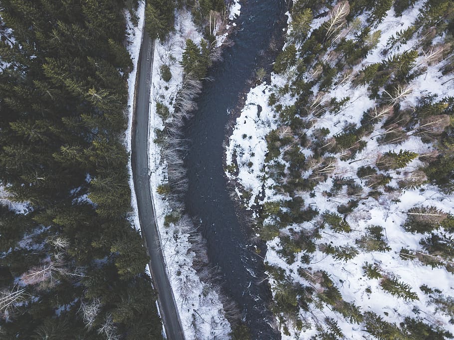 Body of Water Near Green Trees, above, daylight, drone view, environment HD wallpaper
