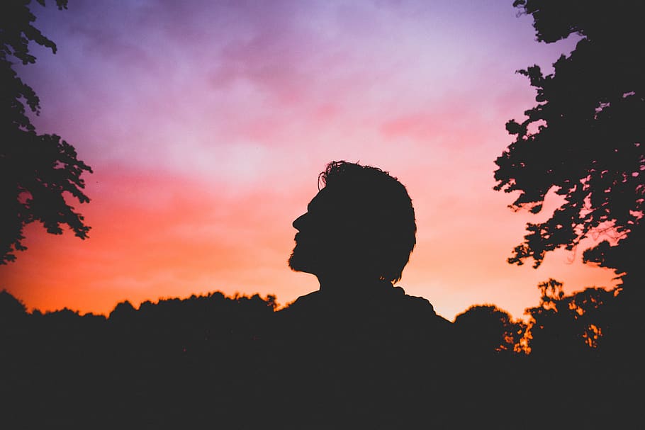 sky, sunset, dark, trees, plants, outdoor, silhouette, people HD wallpaper