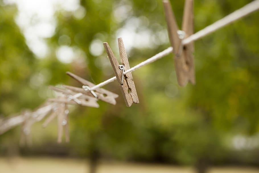clothespin, line, outside, outdoors, clothespins, plant, tree HD wallpaper