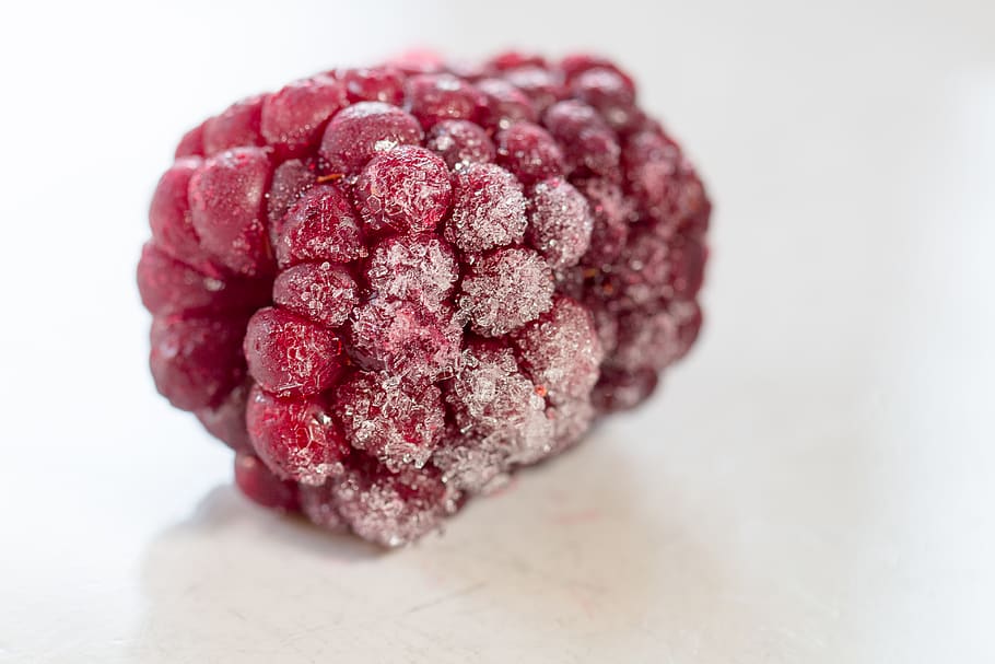 macro, lunch, red, ice, ze, fruit, framboise, raspberry, frosted HD wallpaper