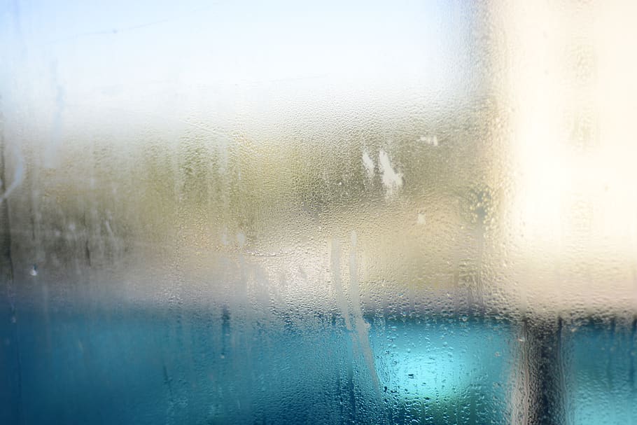 clear glass window, weather, fog, nature, light, grass, plant HD wallpaper