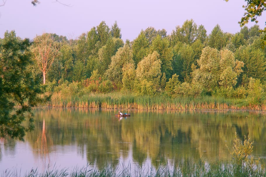 sunrise, siberia, nature, landscape, summer, calm, water, river ob, HD wallpaper