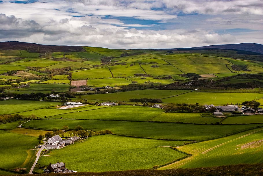 fields, meadows, farm, farmland, green, grass, sky, landscape HD wallpaper