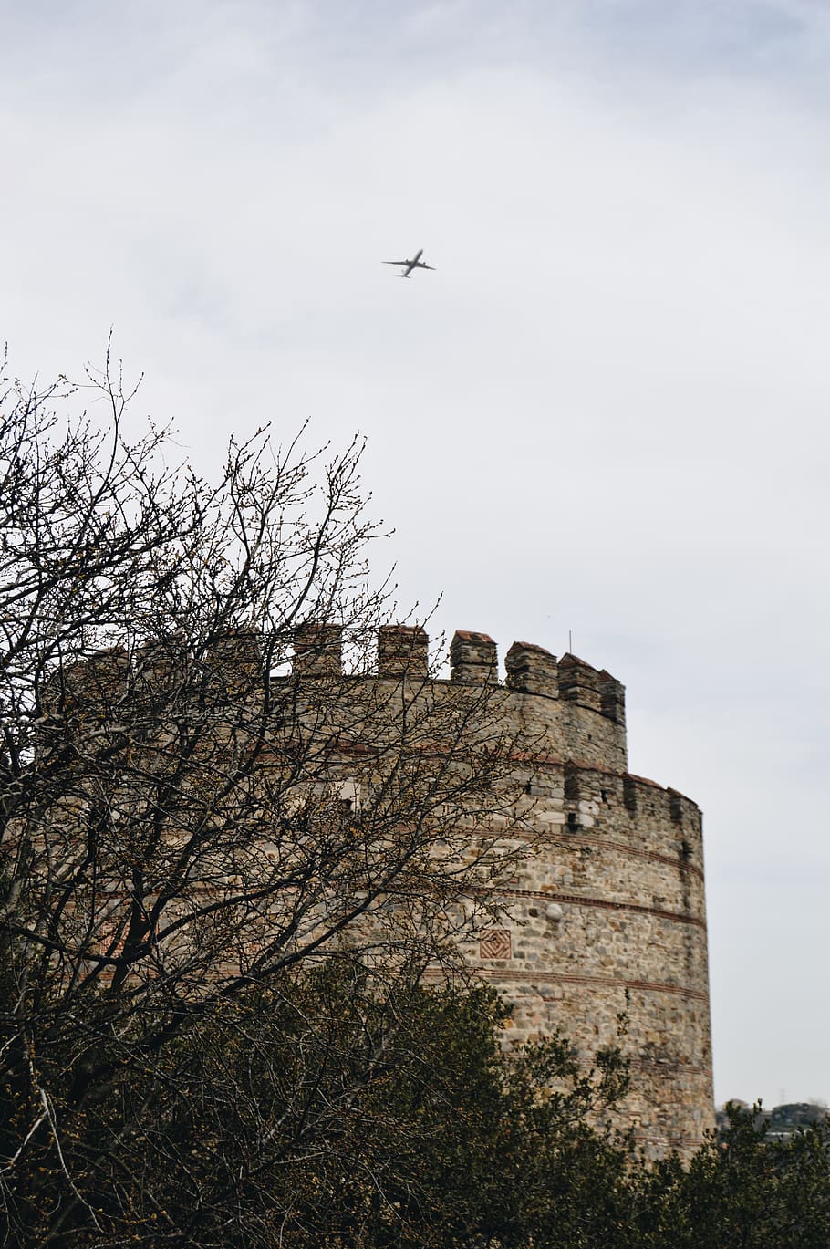 sky, plane, tree, spring, wallpaper, background, phone, istanbul HD wallpaper