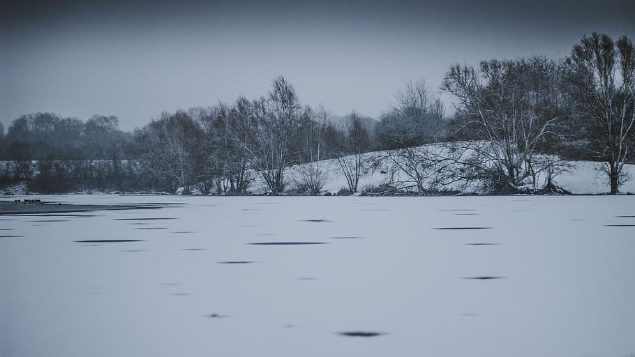 trees on snow field, winter, cold temperature, water, tranquility HD wallpaper