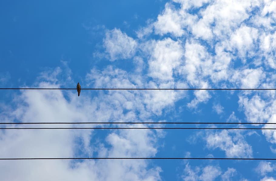 air, atmosphere, background, beautiful, blue, blue-sky, bright HD wallpaper