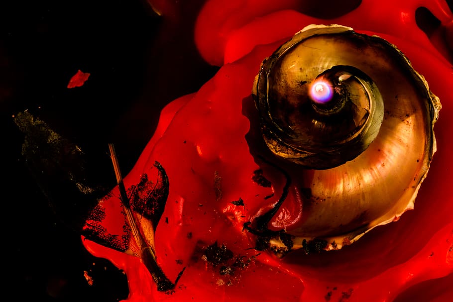 red, wax, shell, spiral, abstract, flame, candle, sea shell HD wallpaper