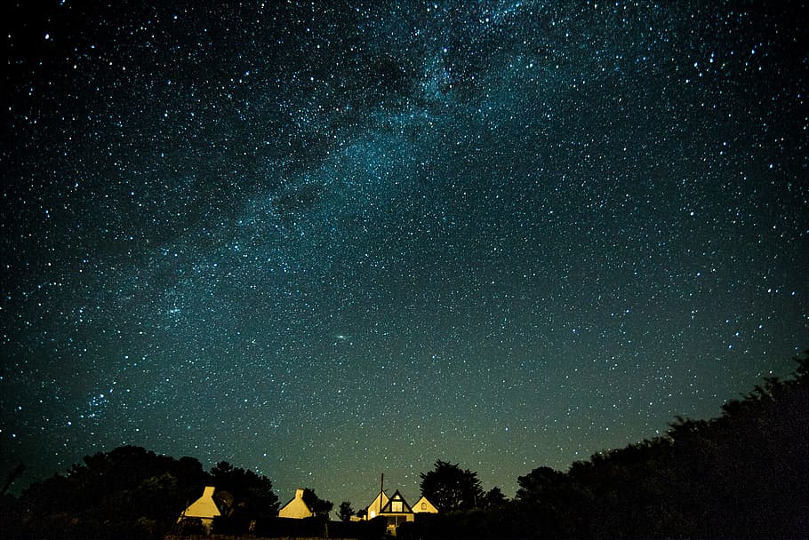 lighted house under sky with stars at night, tree, building, forest HD wallpaper