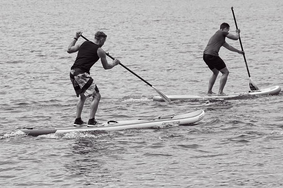 stand up paddling, water sports, sup, paddle, surfboard, fun