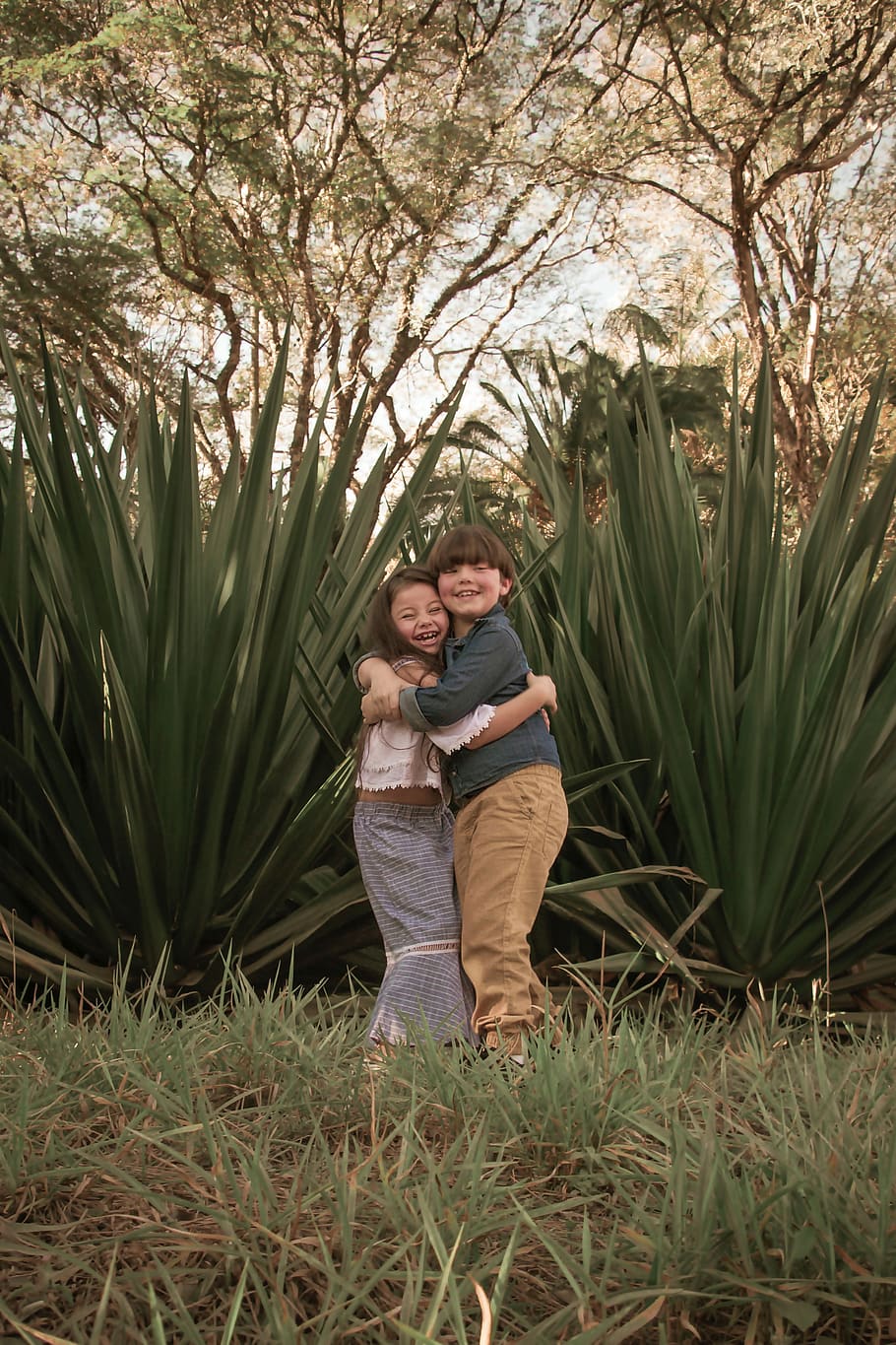 Boy and Girl Hugs Each Other Outdoor, adorable, agave, brother, HD wallpaper