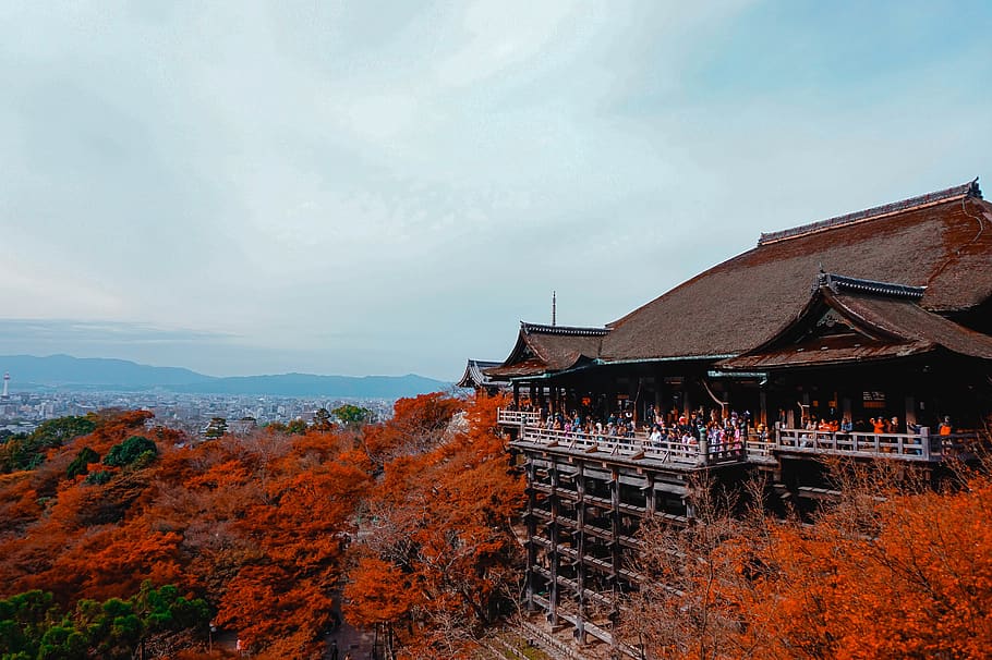 japan, kyōto-shi, kiyomizu-dera, sky, temple, kyoto, asia, HD wallpaper