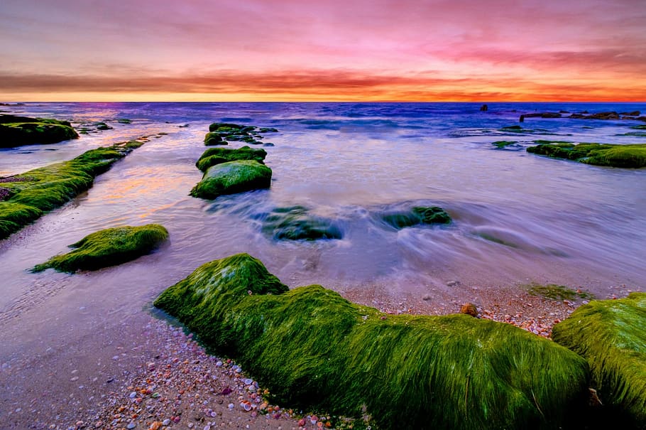 sunset, ocean, sea, beach, sky, nature, horizon, water, scenics - nature HD wallpaper