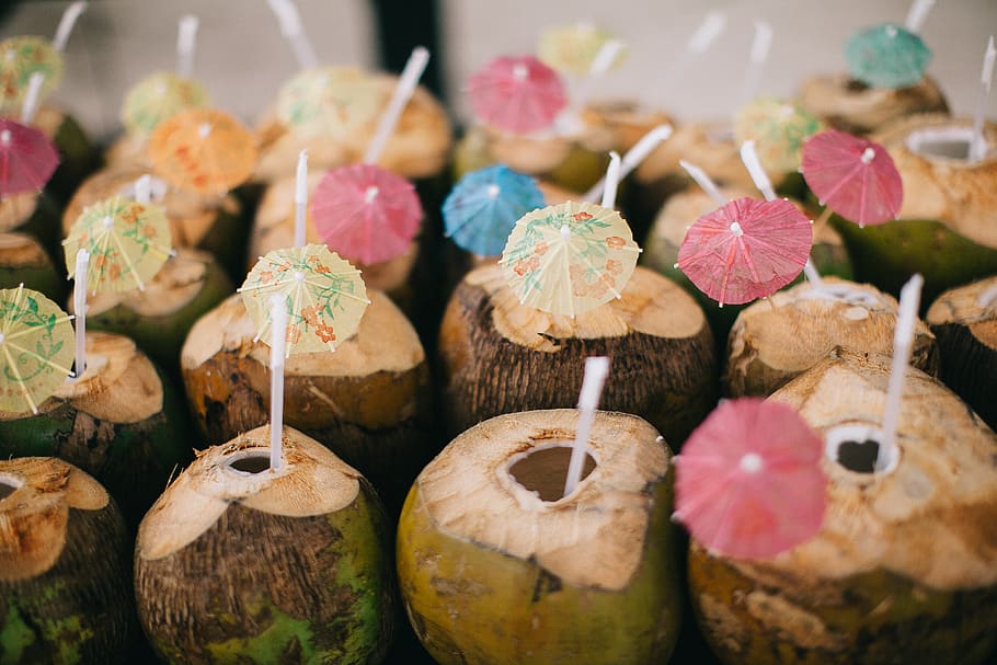 Opened Coconut Fruits, coconuts, delicious, drinks, food, healthy HD wallpaper